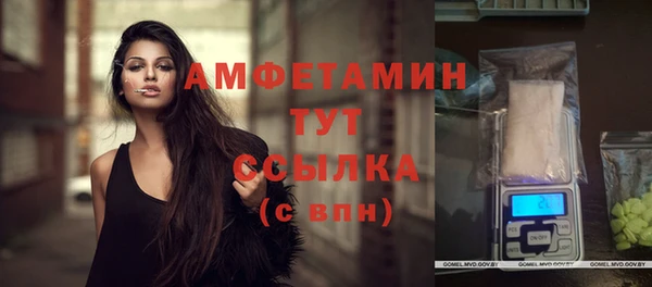индика Балабаново